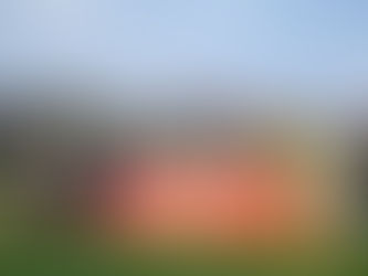 World Rugby-endorsed interim committee for Zim on its way ‘this week’ as global governing body back World Cup-bound Sables