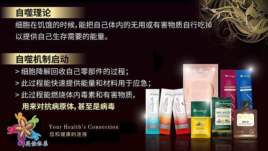 英佳体系轻松断食疗法 PPT 2.jpg