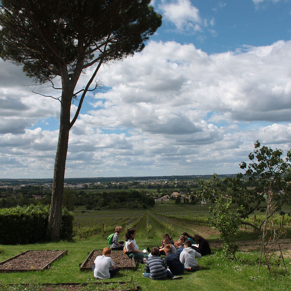 Les paysages de F. Mauriac