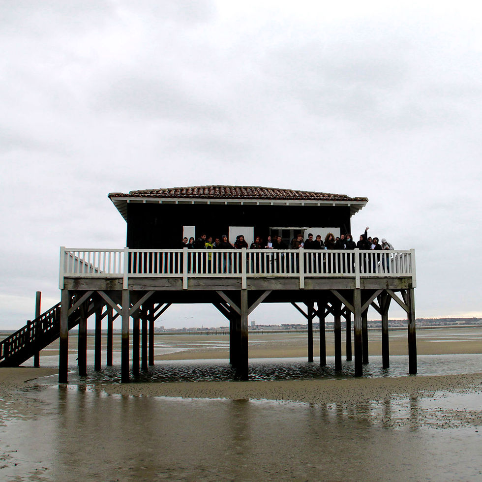 Les paysages du Bassin d'Arcachon