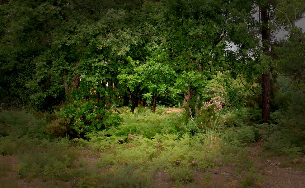 Parcours paysage