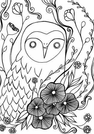 owl edited.jpeg