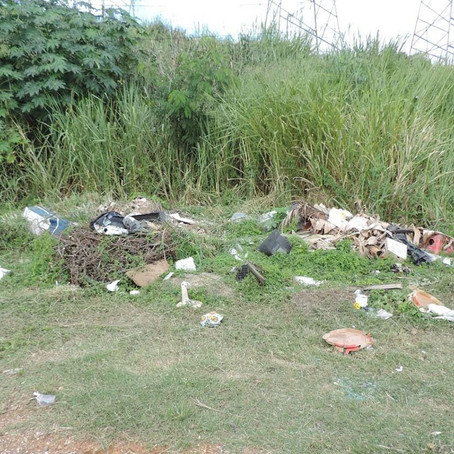 BR-381/MG: conheça o Subprograma de Controle de Depósitos de Lixos Irregulares