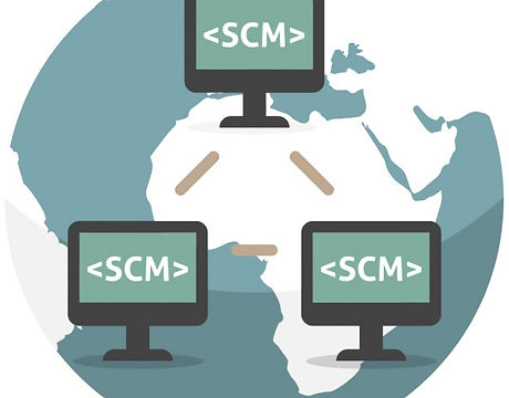 codeBeamer-ALM-Software-Source-Code-Management-650x650_edited.jpg