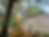 tree-removal-over-roof-igy6-rooted-northwest-florida.jpg