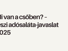 Mi van a csőben? – Őszi adósaláta-javaslat 2025
