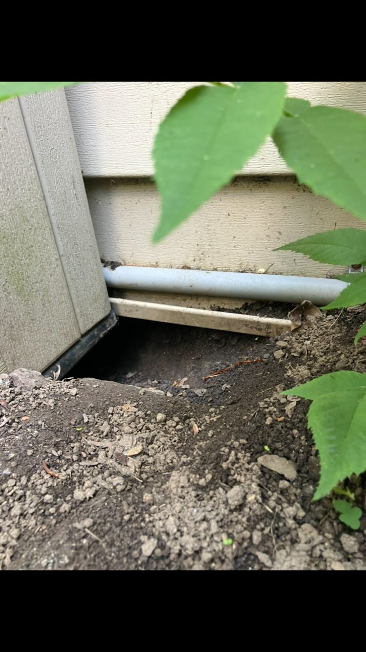 Groundhog burrow next to home, can cause potential for structural shift