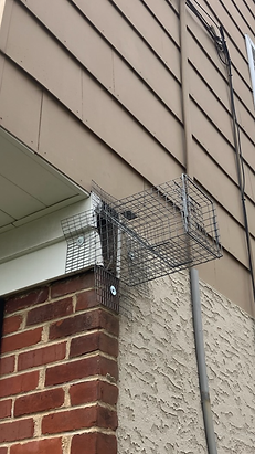 One way door installed at roofline to safely remove raccoons from New Jersey home