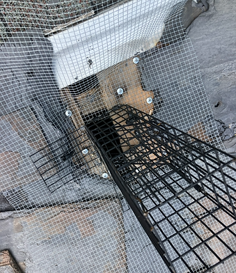 Hole in roof where squirrels getting in with one way door