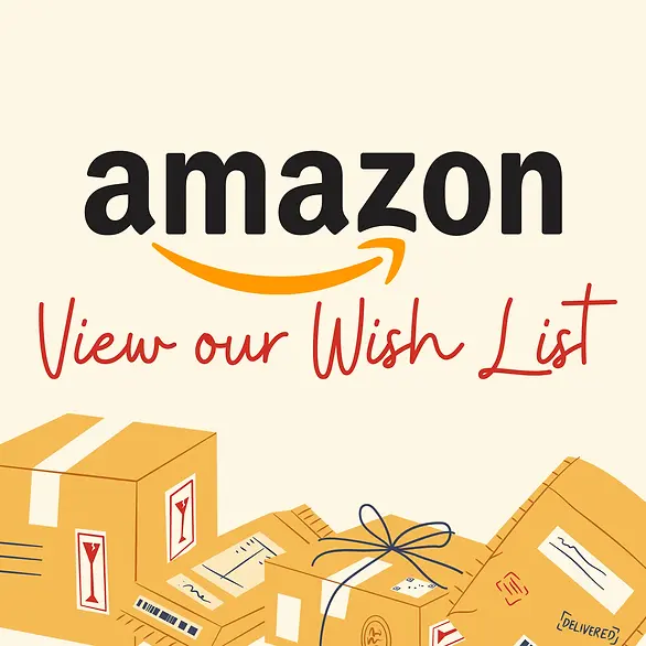 Amazon+Wishlist+Button+(1)-1920w.webp