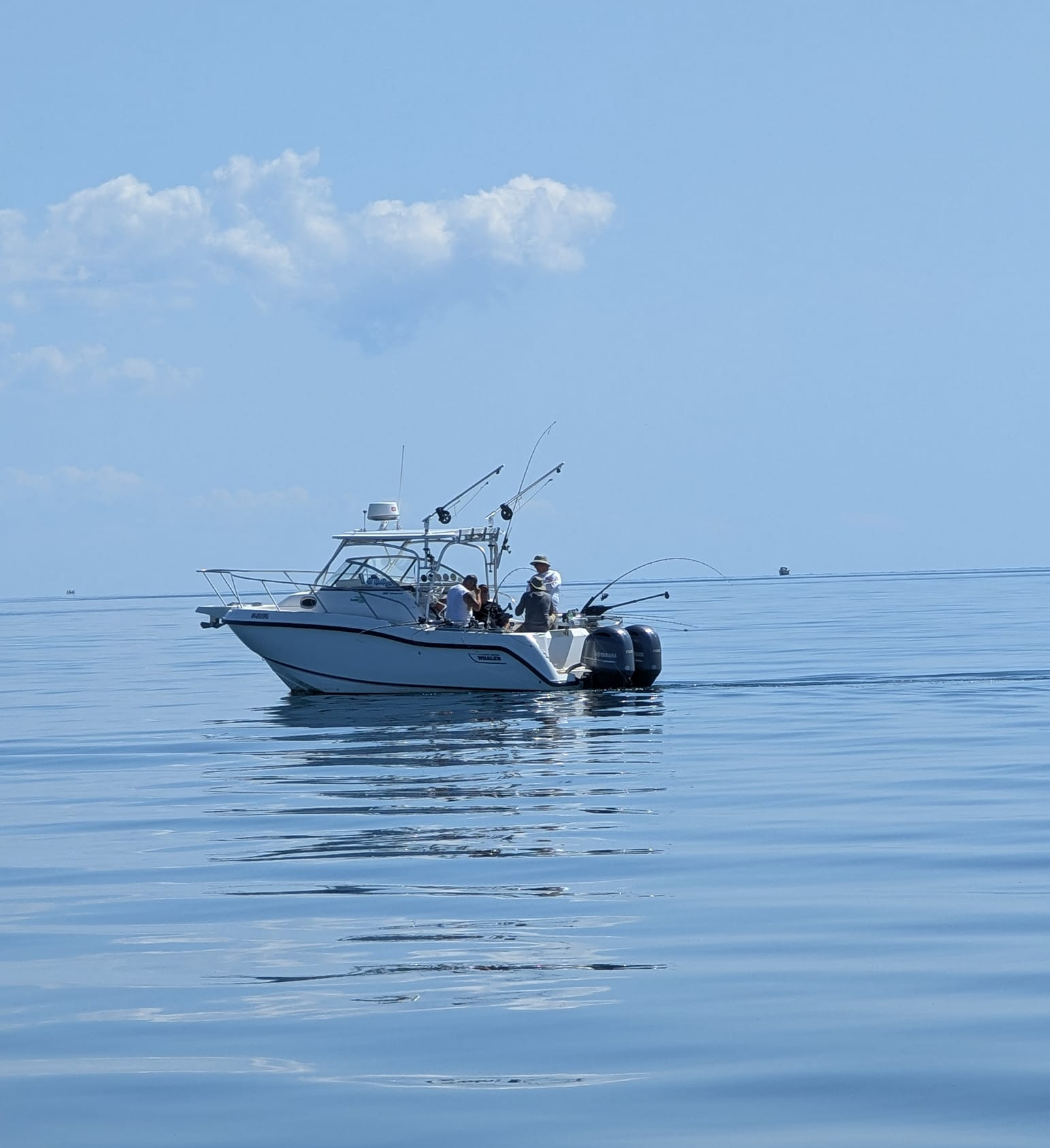 Forfaits de pêche — South Coast Charters – South Coast Charters
