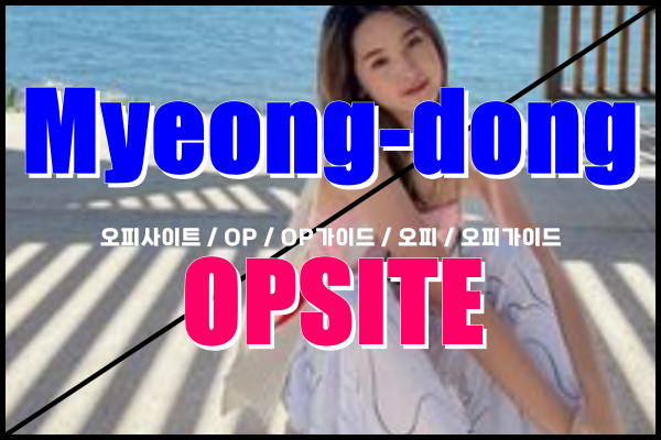 명동오피 - 명동OP - OP가이드 - 오피가이드 - 단밤오피 - 1