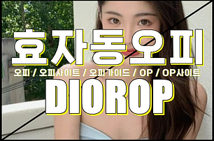 효자동오피 - 효자동OP- 전주 효자동 OP - 디올오피 - 2