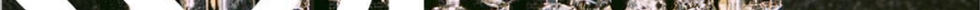 IMG_3639.PNG