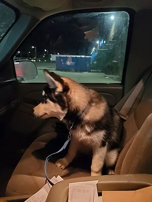 88325754_231402538029192_630910213512862