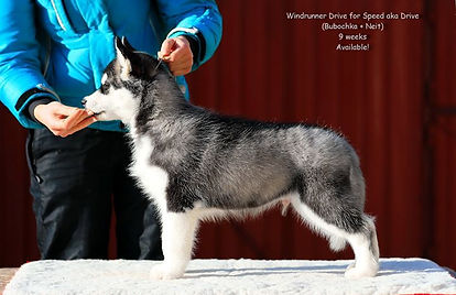 80879767_10215004991787543_4082438295420