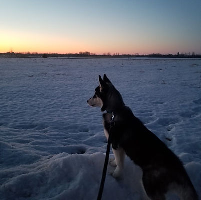 88127226_682299685642947_271901079714031