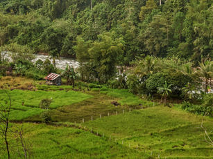 How to Find the Right Land for Your Kit Home (Including a Few Creative Tricks)