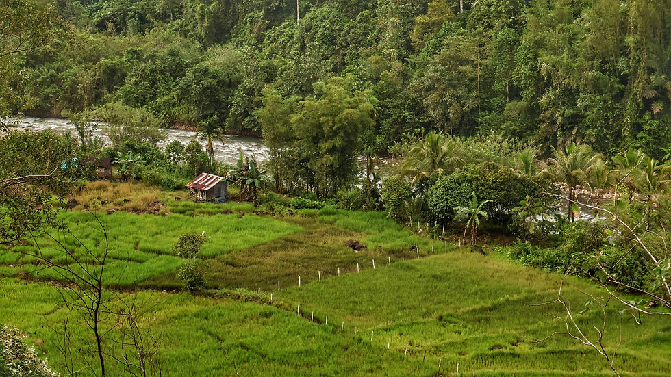 How to Find the Right Land for Your Kit Home (Including a Few Creative Tricks)