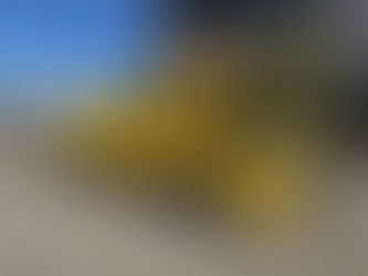 ニーダー車 納車になりました