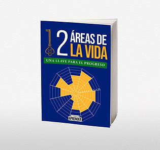 bono 12 areas de la vida-min.jpg