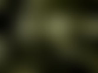 I didn't get a castle...