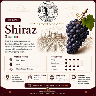 Shiraz