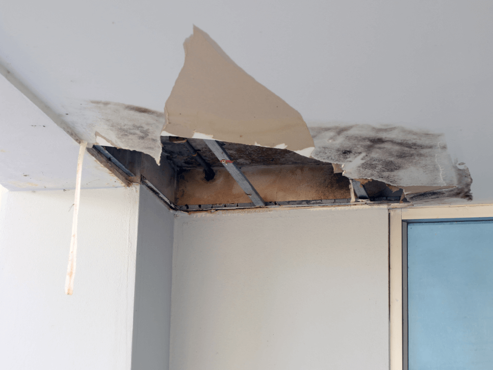 water leak repair