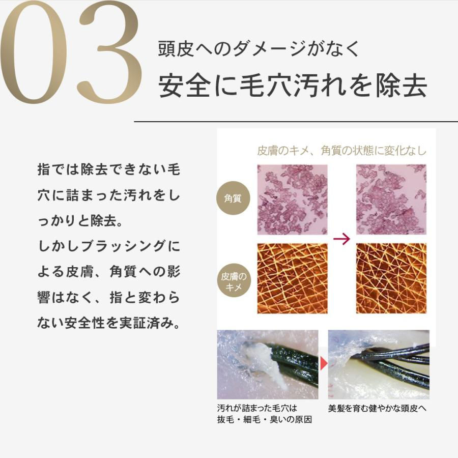 サムネイル： スカルプブラシ ワールドプレミアムロング