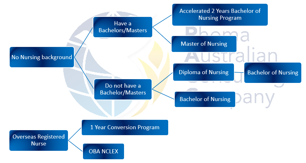 Nursing-pathway (1).webp