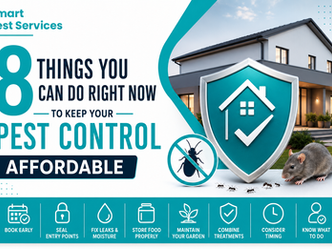 Smart pest control solutions for your home