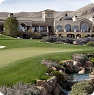 Southern Highlands pest control service