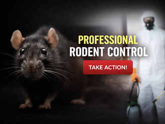 Top Indicators That Your Home Requires Professional Rodent Control
