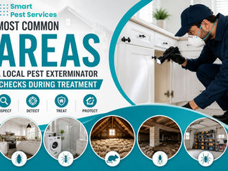 Most Common Areas a Local Pest Exterminator Checks During Treatment