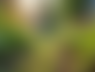 Sustainable Farming Practices for Local Empowerment