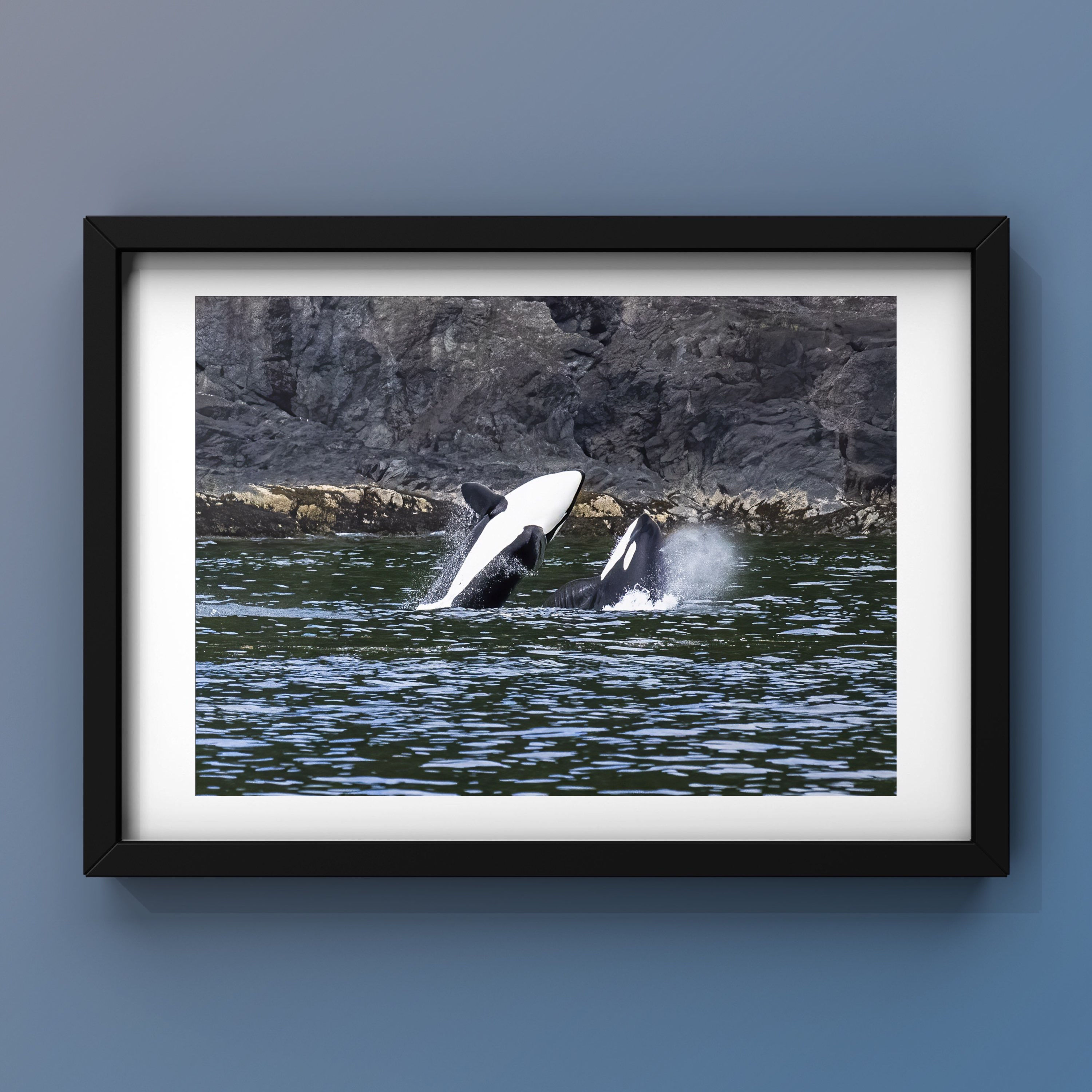 AT1 Circus Series: 2