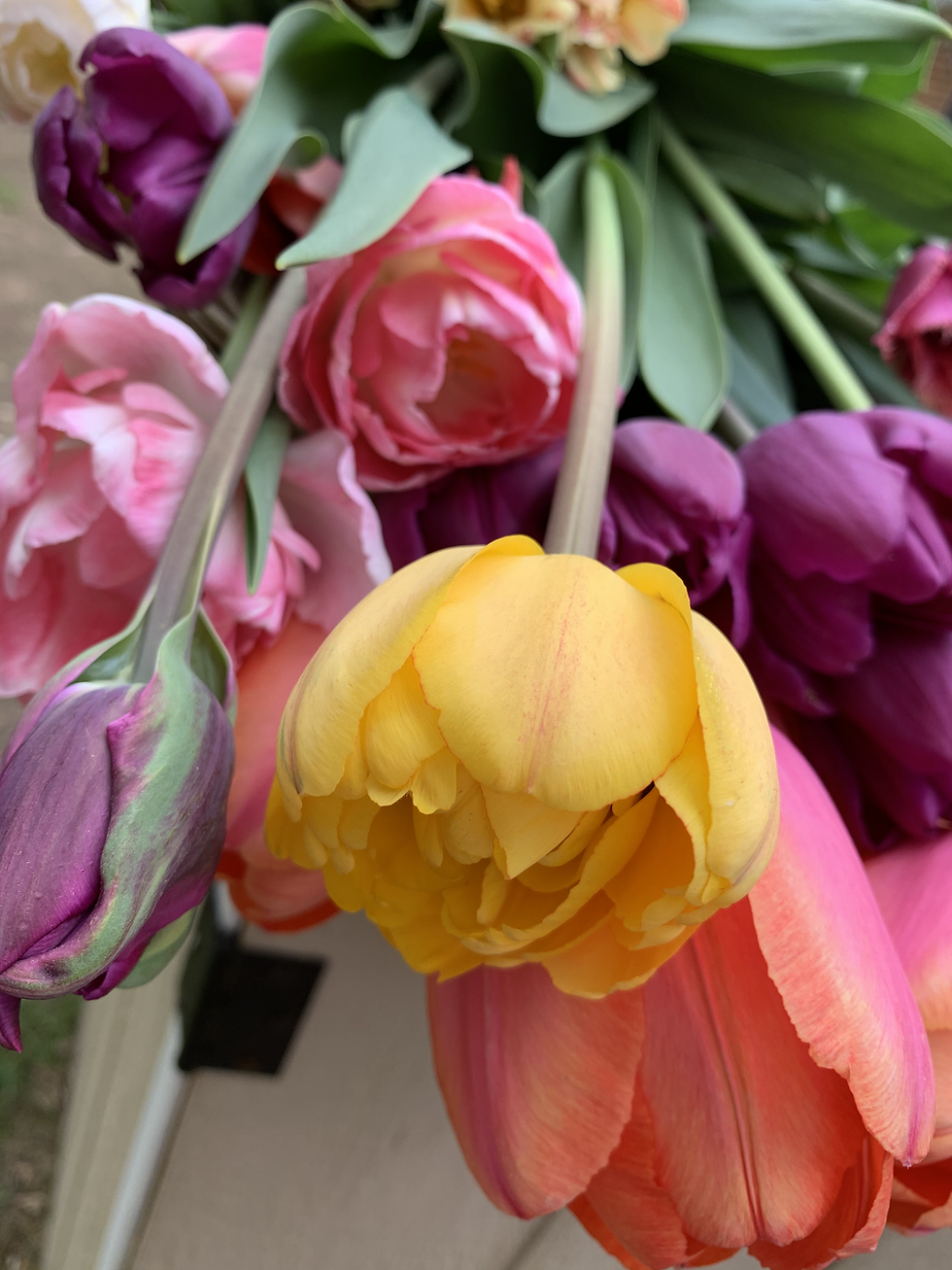 Thumbnail: Spring Flowers Subscription