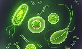 germes-microscopicos-e-patogenos.jpg