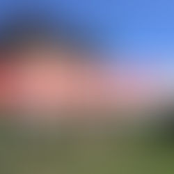 【新着】でました海近物件　大網白里市四天木