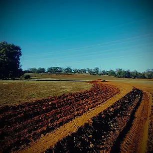 Contour swale construction with ripped floor to maximize rainwater infiltration and prevent soil erosion by Doc Spice Permaculture