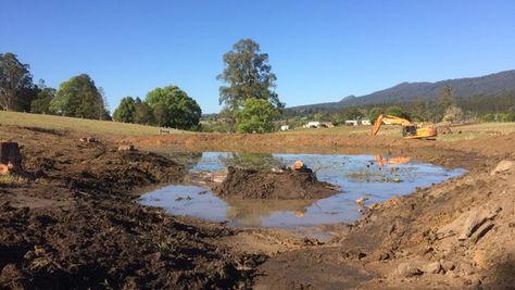 Beautify that old dam with ecological function in mind, by retrofitting to support more life and increase your engagement