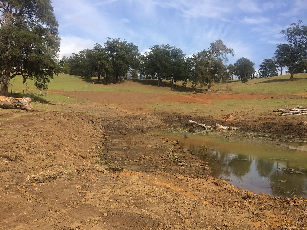 Retrofit farm dams with cutting a bench in the side