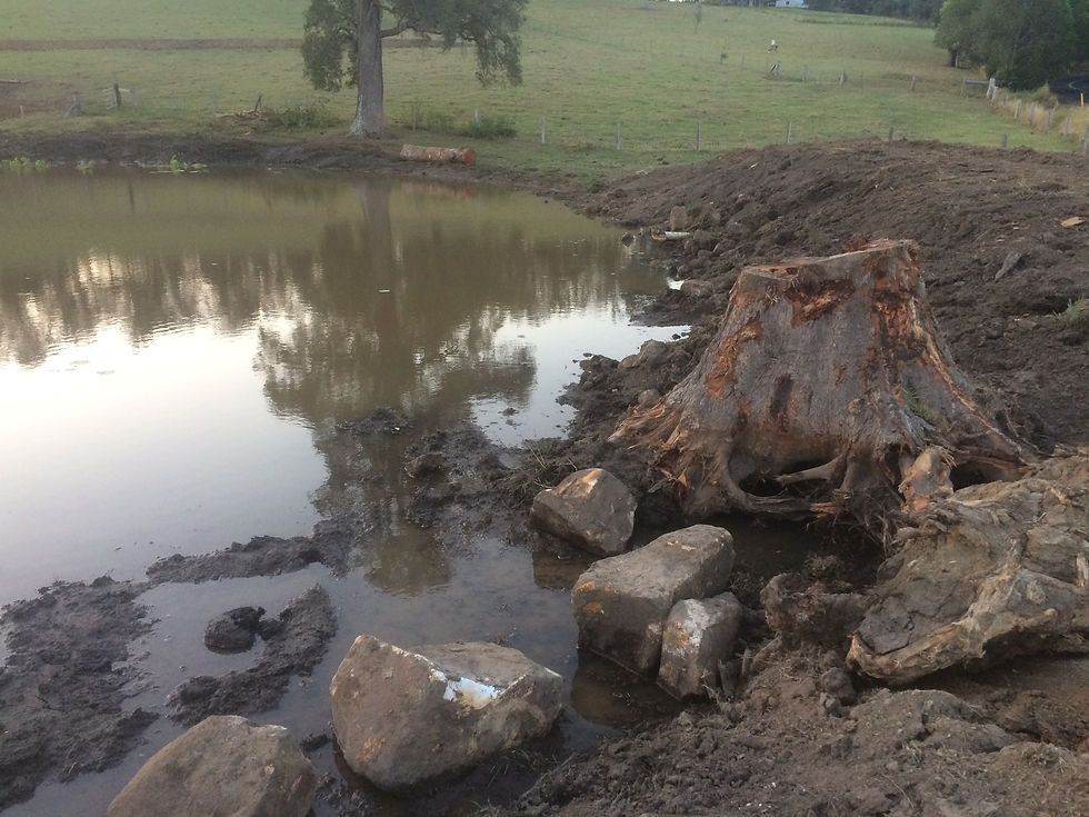 Habitat creation for farm dams and aesthetic beauty
