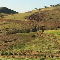 Moroccan eco-retreat earthworks: Permaculture design, consultancy, and installation of water harvesting systems on a guest house property by Doc Spice Permaculture.