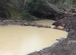 Leaky weir erosion control structure slowing stream velocity and rehydrating landscape, built by Doc Spice Permaculture
