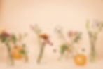 PROJETO BLOOMING