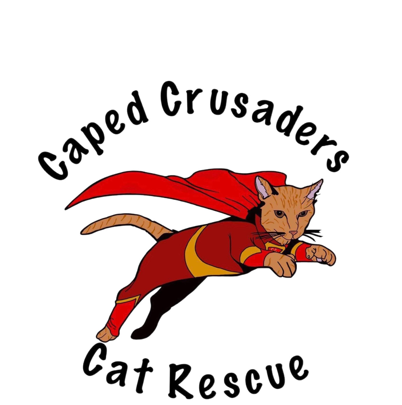 Adoptable Cats Caped Crusaders CR adoptable-cats-caped-crusaders-cr