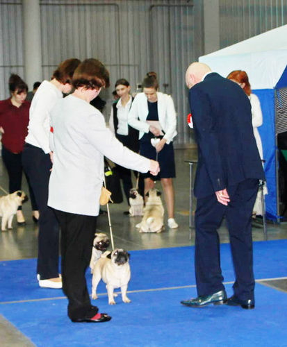 26.01.2019 Vetmar Livi Kamelia 2