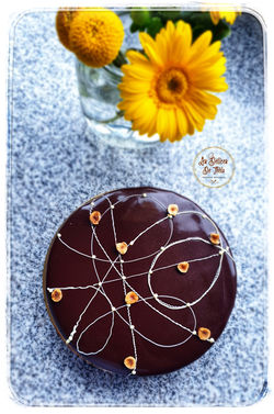 patisserie-entremet-chocolat-namelaka (1).jpeg