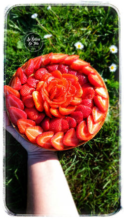 patisserie-entremet-foret-noire (2).jpeg